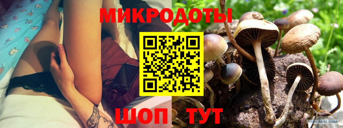 Галлюциногенные грибы Psilocybe  Вход с VPN  Галлюциногенные грибы GOLDEN TEACHER  Белогорск 